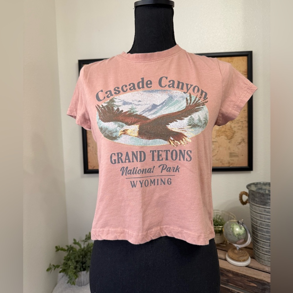 Forever 21 Cascade Canyon Grand Tetons Wyoming Tee Small